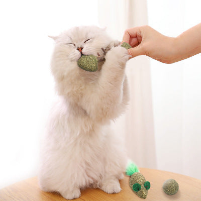 Pet Cat Chewing Toy