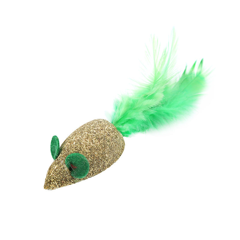 Pet Cat Chewing Toy