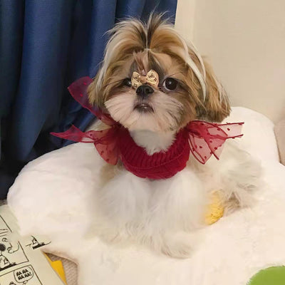Super Cute Pet Sweater-Warm In The New Year